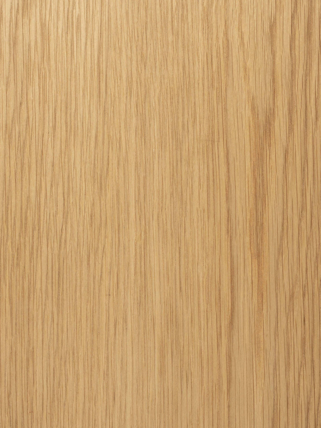 Brave Wooden Bench