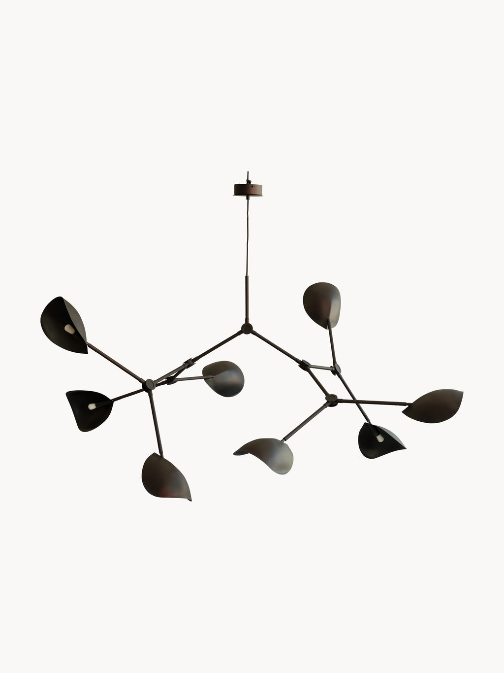 Stingray Large Chandelier, in various sizes